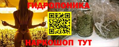 синтетический гашиш Будённовск