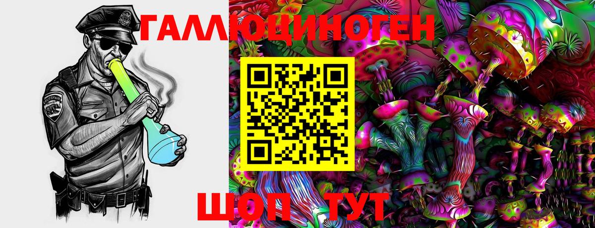Галлюциногенные грибы GOLDEN TEACHER  Вход с VPN  Галлюциногенные грибы Cubensis  Армавир 