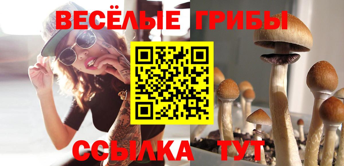 Псилоцибиновые грибы GOLDEN TEACHER Армавир